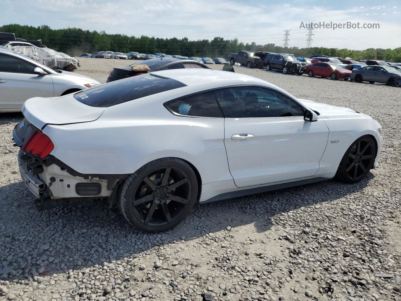 2015 Ford Mustang Gt White vin: 1FA6P8CF9F5341743