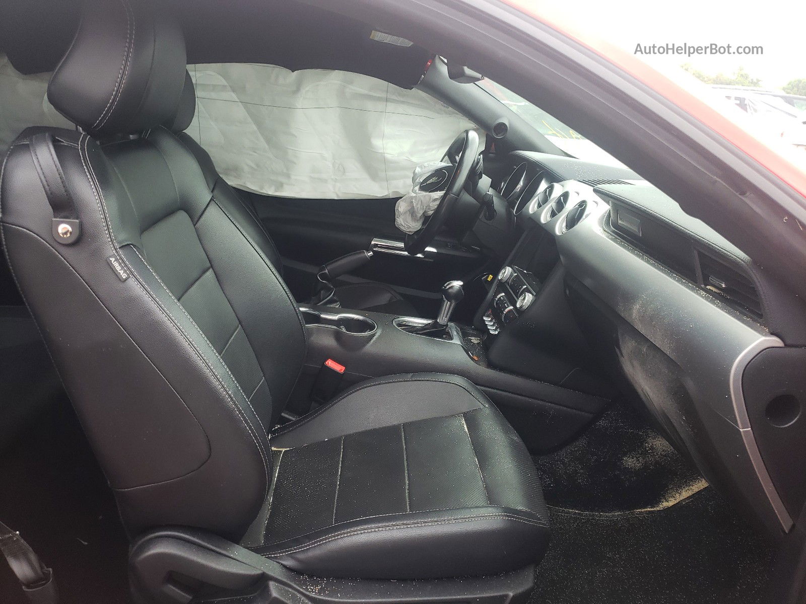 2019 Mustang GT Back Seat Space