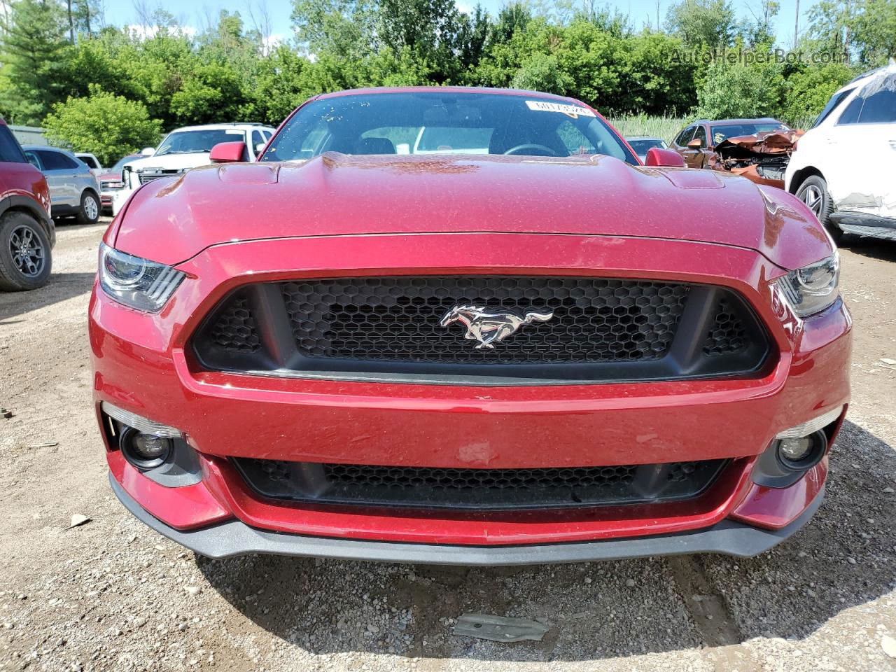 2016 Ford Mustang Gt Red vin: 1FA6P8CFXG5219927