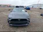 2020 Ford Mustang Gt Fastback Gray vin: 1FA6P8CFXL5177639