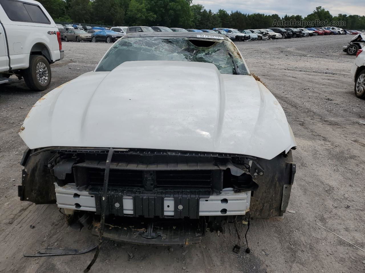 2020 Ford Mustang Gt White vin: 1FA6P8CFXL5181884