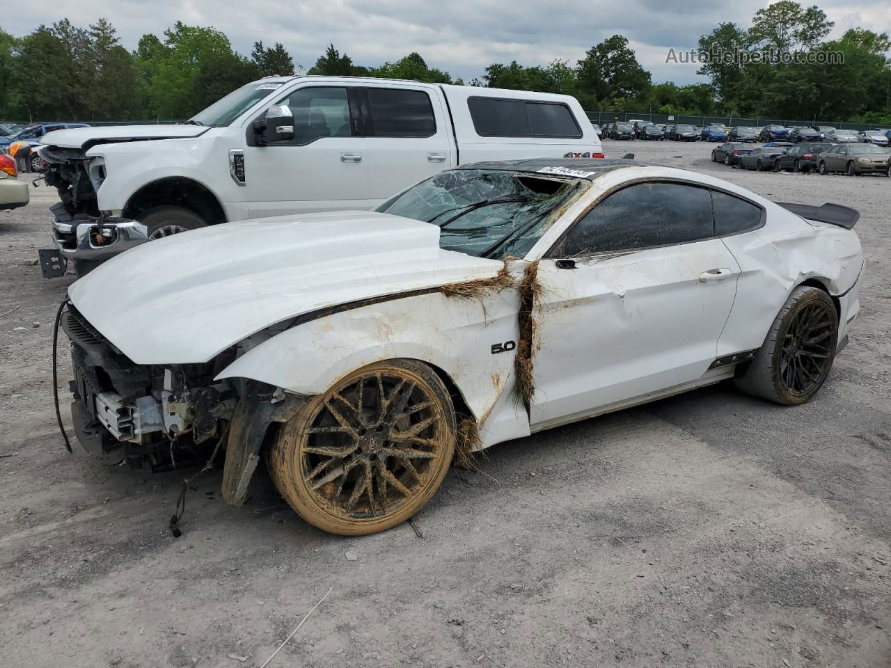 2020 Ford Mustang Gt White vin: 1FA6P8CFXL5181884