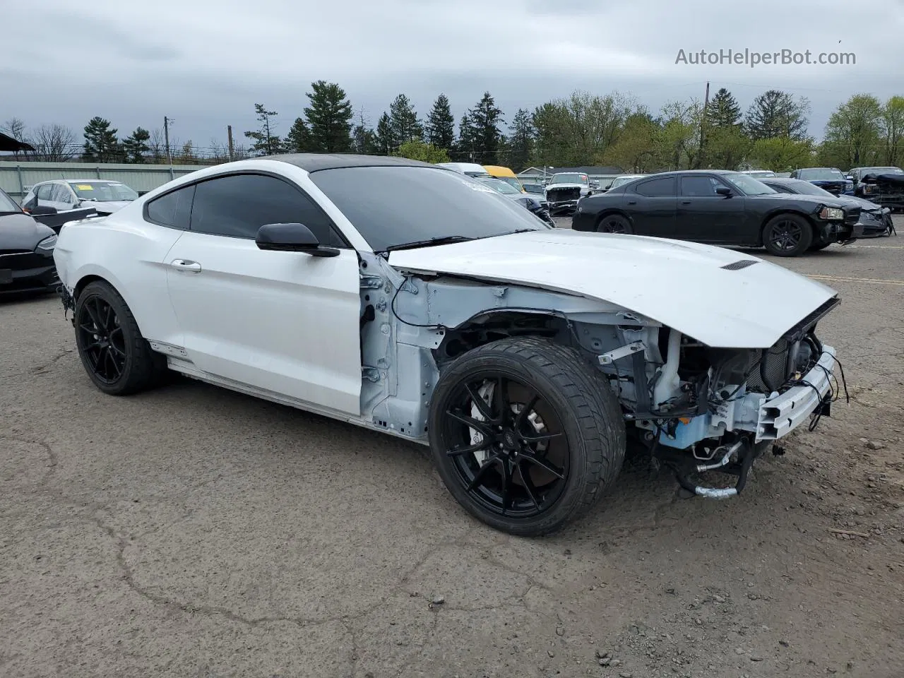 2019 Ford Mustang Shelby Gt350 White vin: 1FA6P8JZ3K5549902