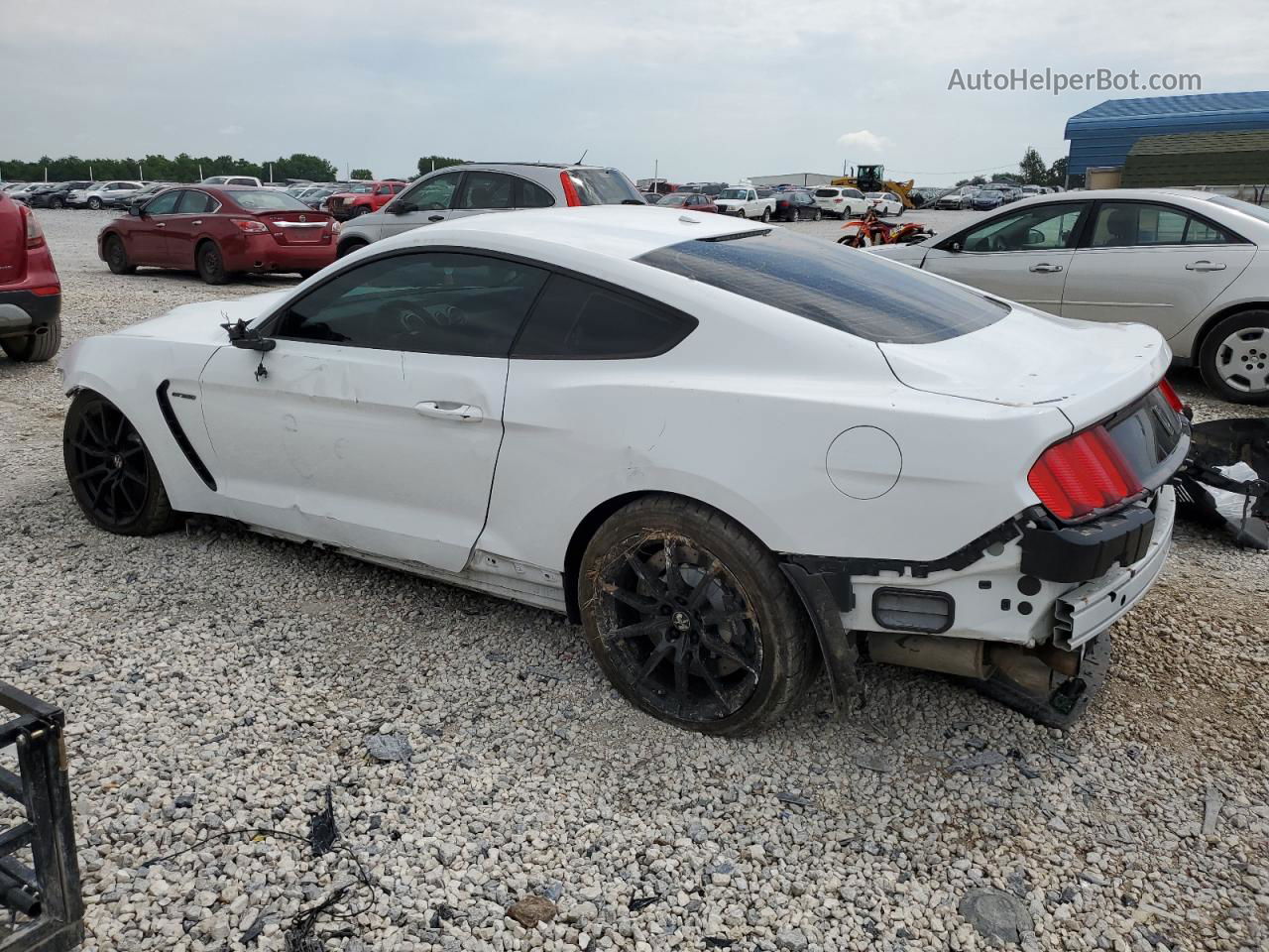 2016 Ford Mustang Shelby Gt350 White vin: 1FA6P8JZ5G5523079