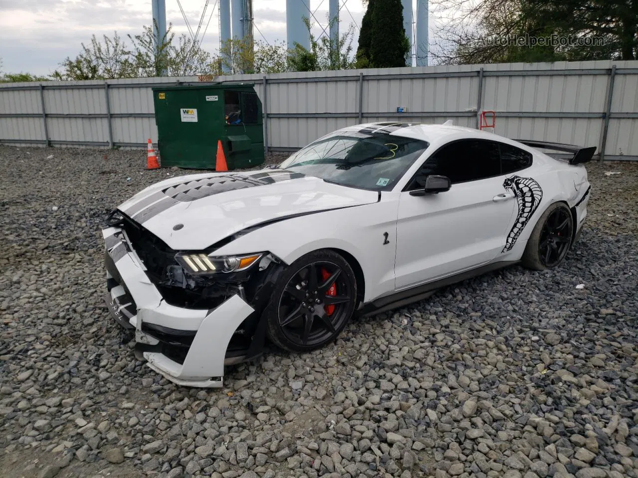 2020 Ford Mustang Shelby Gt500 White vin: 1FA6P8SJ1L5505522