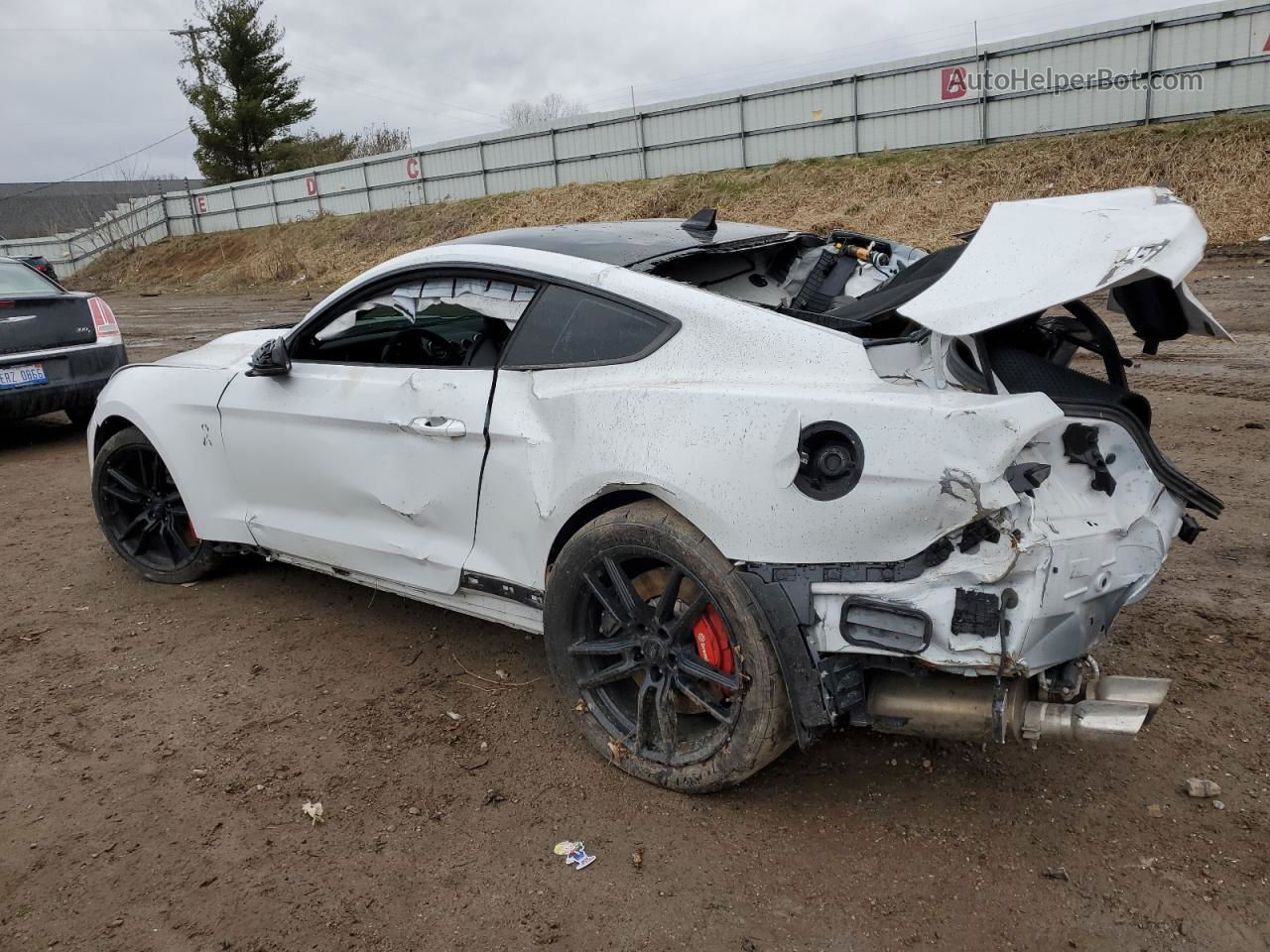 2020 Ford Mustang Shelby Gt500 White vin: 1FA6P8SJ4L5501531