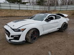 2020 Ford Mustang Shelby Gt500 White vin: 1FA6P8SJ4L5501531