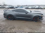 2020 Ford Mustang Shelby Gt500 Fastback Серый vin: 1FA6P8SJ5L5501294