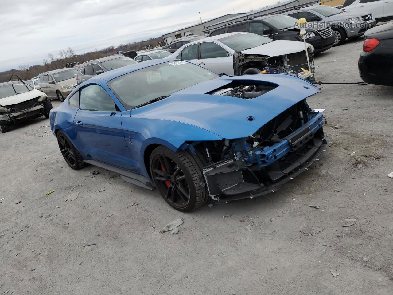 Price & History 2021 Ford Mustang Shelby Gt500 5.2l 8 vin