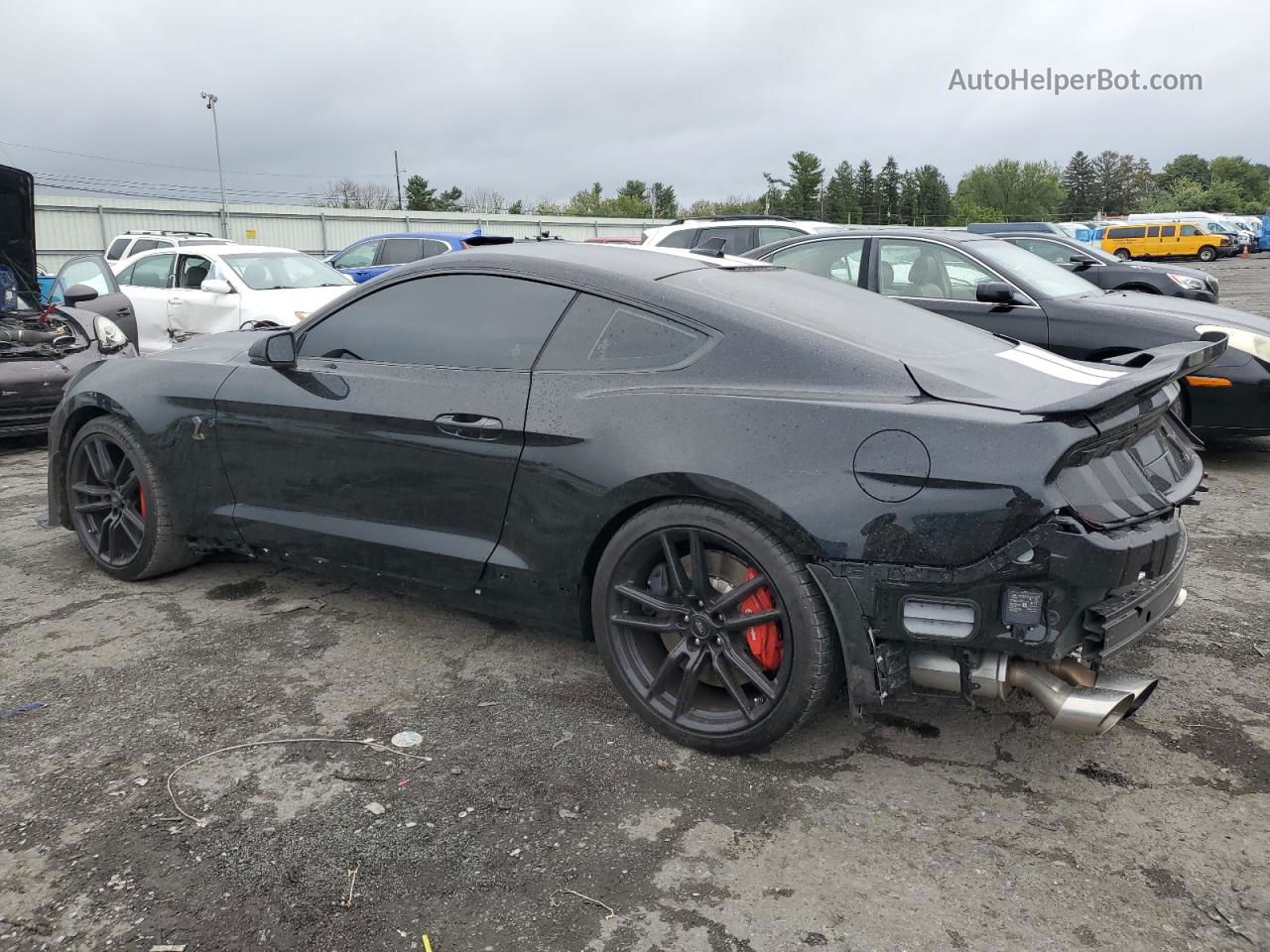 2020 Ford Mustang Shelby Gt500 Black vin: 1FA6P8SJXL5505602