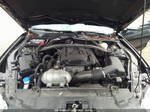 2020 Ford Mustang Ecoboost  Black vin: 1FA6P8TD3L5145775
