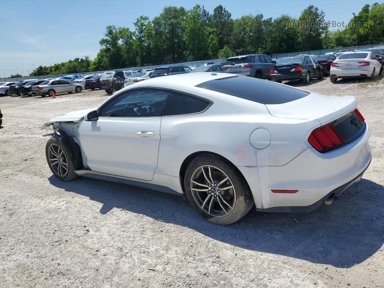 2015 Ford Mustang  White vin: 1FA6P8TH0F5311788
