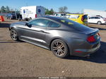 2016 Ford Mustang Ecoboost Серый vin: 1FA6P8TH0G5223146