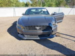 2016 Ford Mustang Ecoboost Серый vin: 1FA6P8TH0G5223146