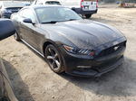 2016 Ford Mustang Черный vin: 1FA6P8TH0G5232719