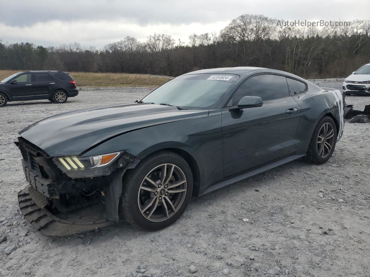 2016 Ford Mustang  Green vin: 1FA6P8TH0G5300257