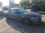 2016 Ford Mustang Gray vin: 1FA6P8TH0G5333906