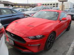 2020 Ford Mustang Ecoboost Красный vin: 1FA6P8TH0L5134722