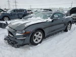 2020 Ford Mustang  Gray vin: 1FA6P8TH0L5175920