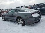 2020 Ford Mustang  Gray vin: 1FA6P8TH0L5175920