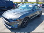 2020 Ford Mustang Ecoboost Fastback Gray vin: 1FA6P8TH0L5177294