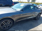 2020 Ford Mustang Ecoboost Fastback Gray vin: 1FA6P8TH0L5177294