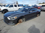 2016 Ford Mustang  Gray vin: 1FA6P8TH1G5253336