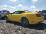 2016 Ford Mustang  Yellow vin: 1FA6P8TH1G5324308