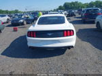 2016 Ford Mustang Ecoboost White vin: 1FA6P8TH1G5326737