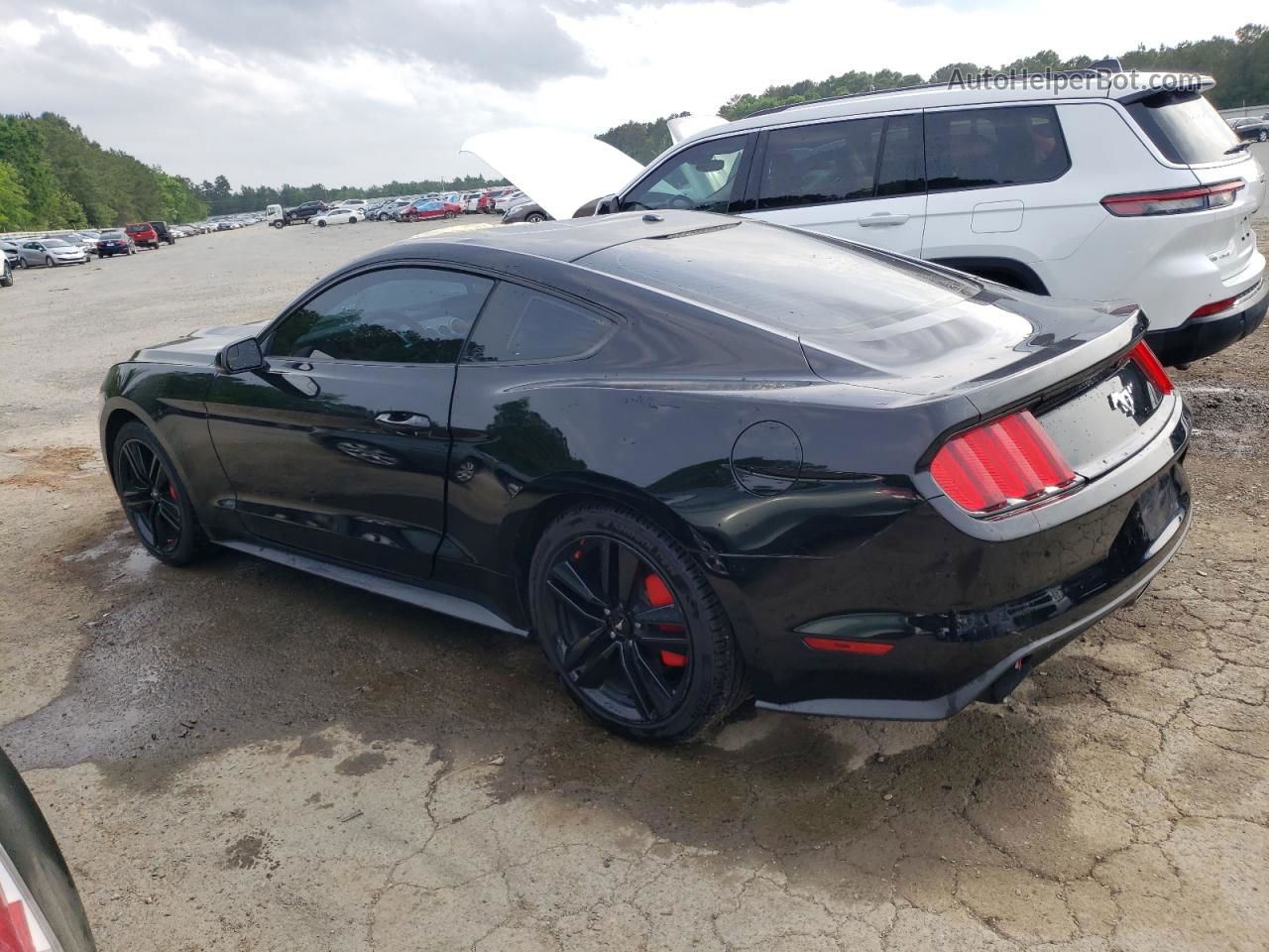 2015 Ford Mustang  Black vin: 1FA6P8TH2F5417756