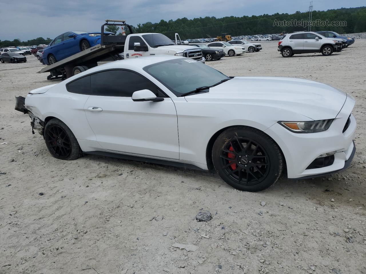 2016 Ford Mustang  White vin: 1FA6P8TH2G5210284