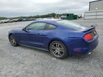 2016 Ford Mustang  Blue vin: 1FA6P8TH2G5228221