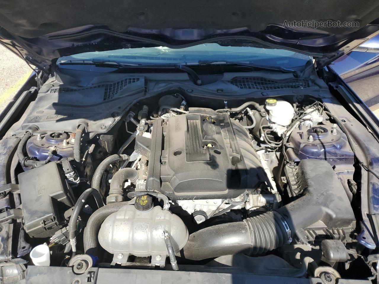 2020 Ford Mustang  Blue vin: 1FA6P8TH2L5170072