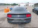 2020 Ford Mustang Ecoboost Fastback Gray vin: 1FA6P8TH2L5191486