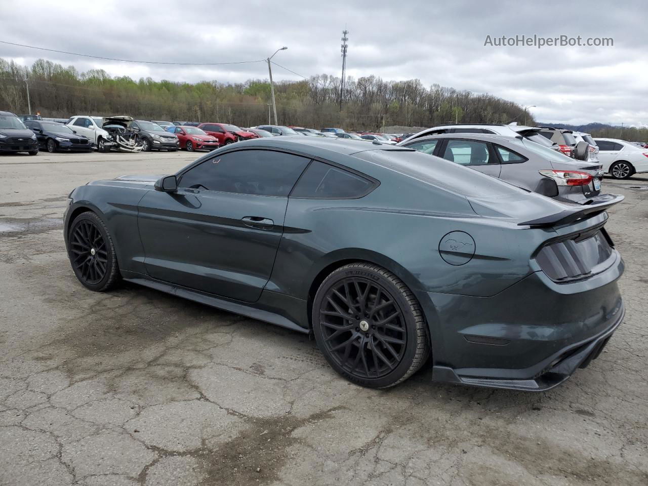 2015 Ford Mustang  Green vin: 1FA6P8TH3F5301532