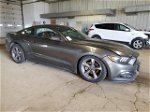 2015 Ford Mustang  Gray vin: 1FA6P8TH3F5305340