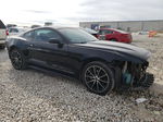 2015 Ford Mustang  Black vin: 1FA6P8TH3F5317987