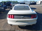 2016 Ford Mustang Ecoboost White vin: 1FA6P8TH3G5265133
