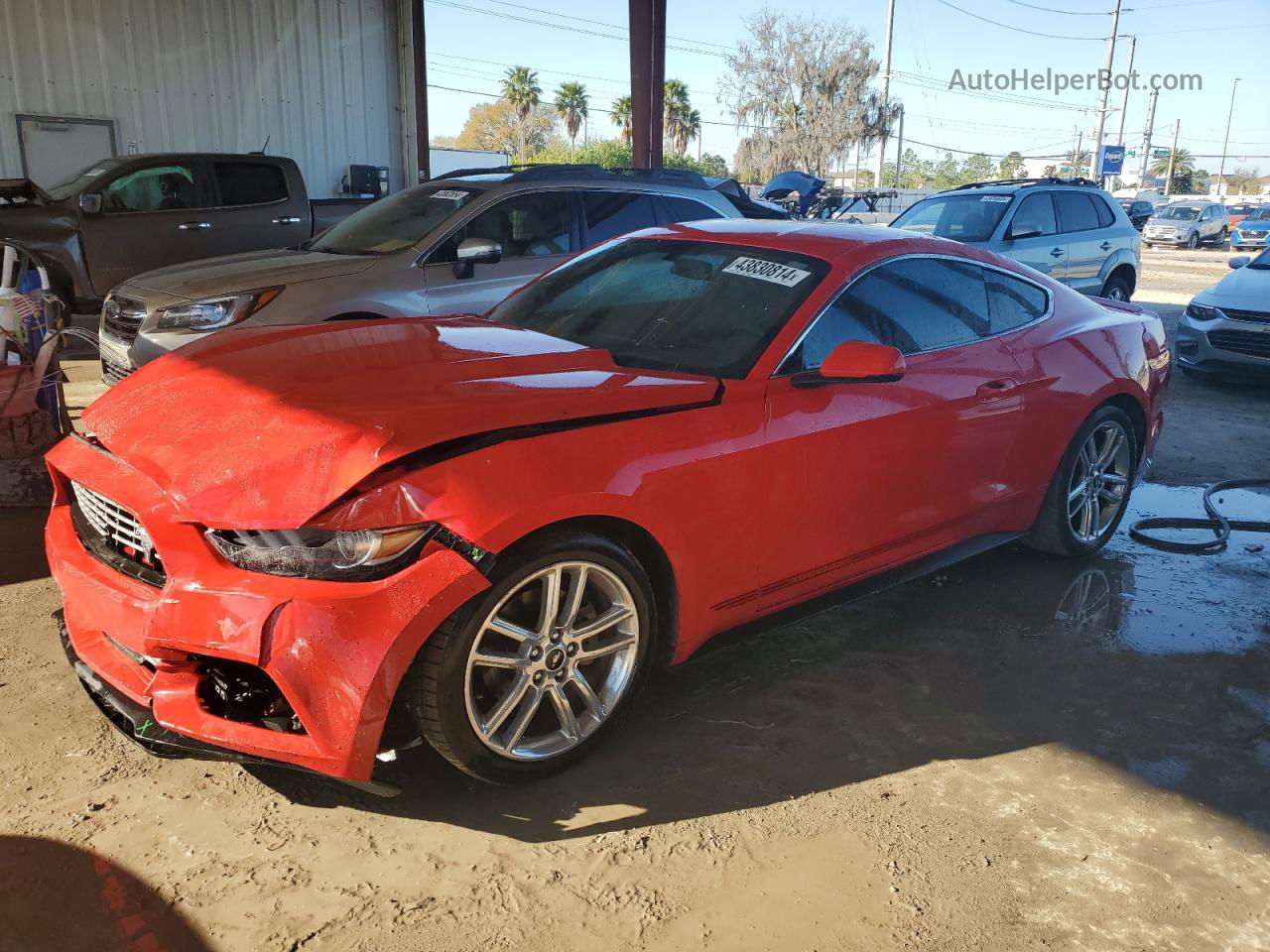 2016 Ford Mustang  Red vin: 1FA6P8TH3G5271868