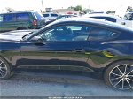 2016 Ford Mustang Ecoboost Black vin: 1FA6P8TH3G5326562