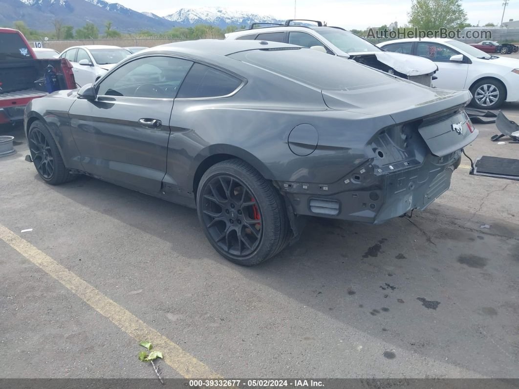 2020 Ford Mustang Ecoboost Fastback Gray vin: 1FA6P8TH3L5101021