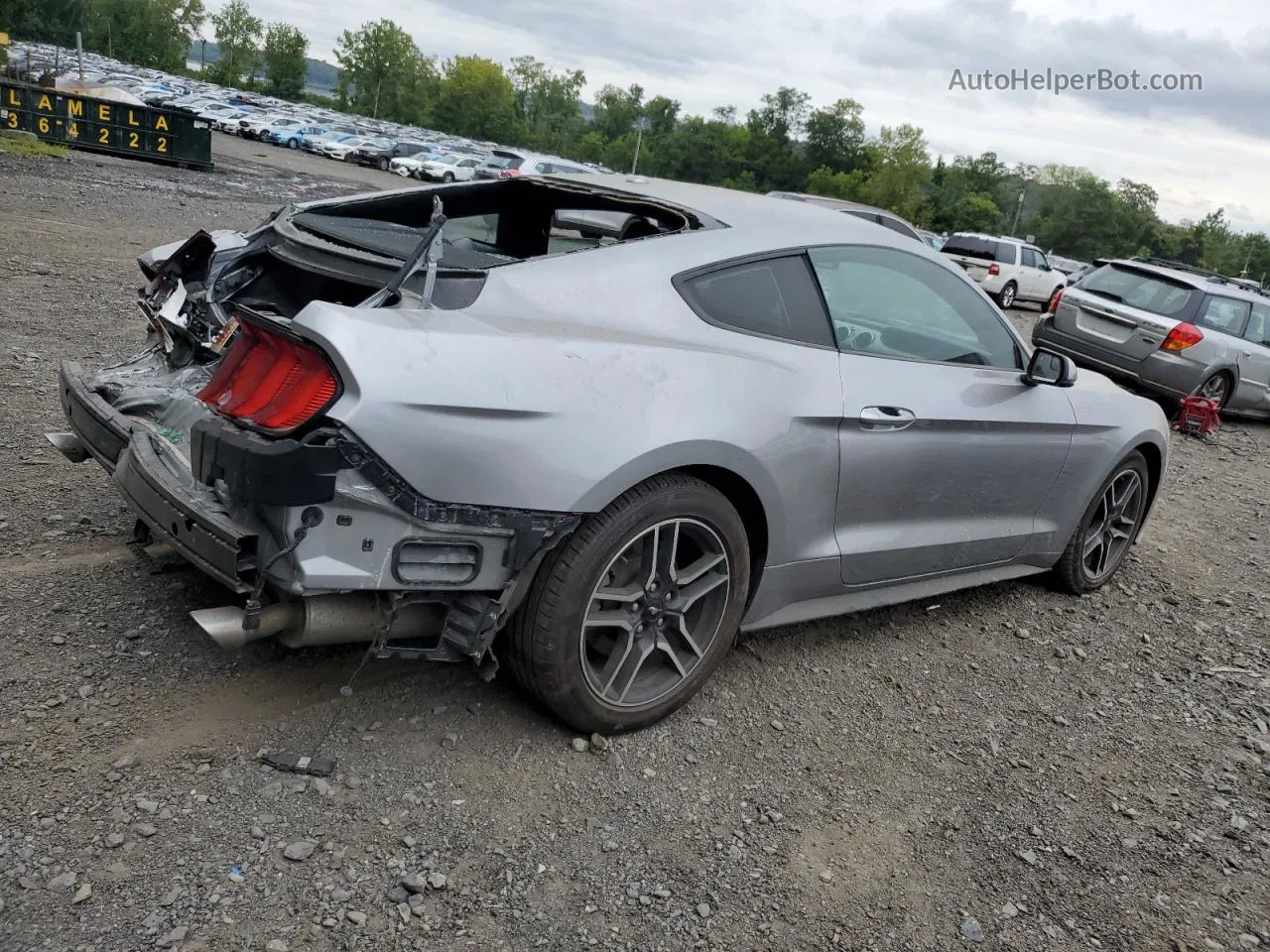 2020 Ford Mustang  Серый vin: 1FA6P8TH3L5120135