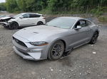 2020 Ford Mustang  Серый vin: 1FA6P8TH3L5120135