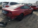 2020 Ford Mustang  Красный vin: 1FA6P8TH3L5133872