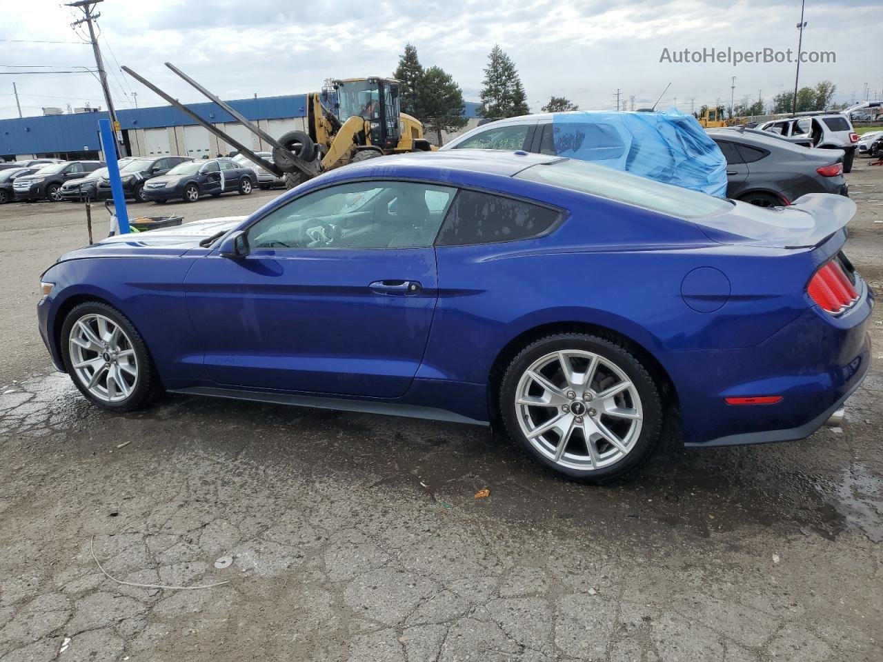 2015 Ford Mustang  Blue vin: 1FA6P8TH4F5341876