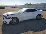 2015 Ford Mustang  White vin: 1FA6P8TH4F5419170