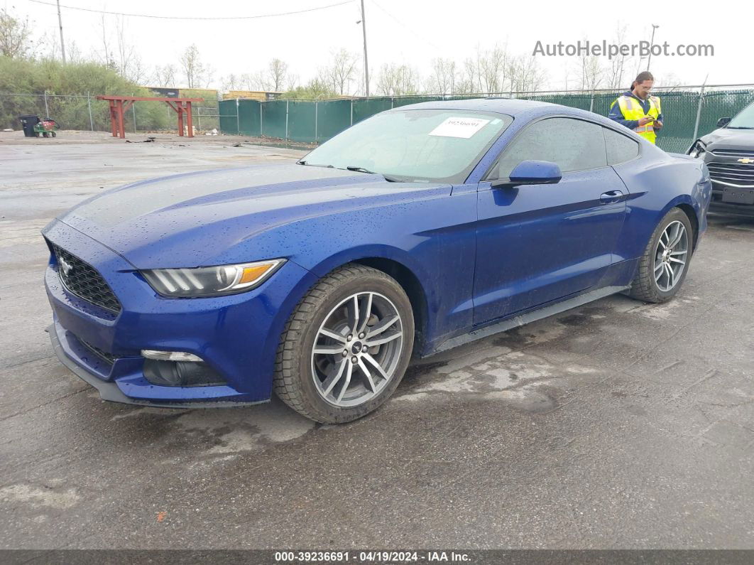 2016 Ford Mustang Ecoboost Blue vin: 1FA6P8TH4G5238829