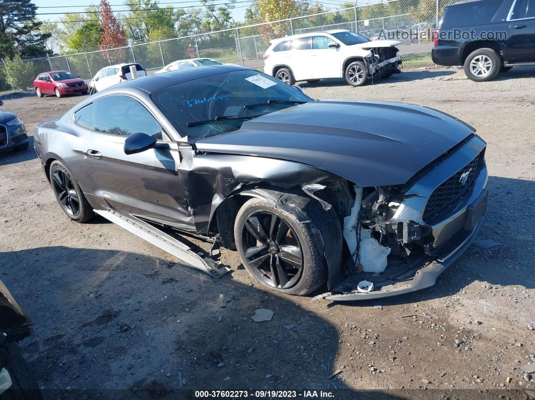 2016 Ford Mustang Ecoboost Gray vin: 1FA6P8TH4G5335917