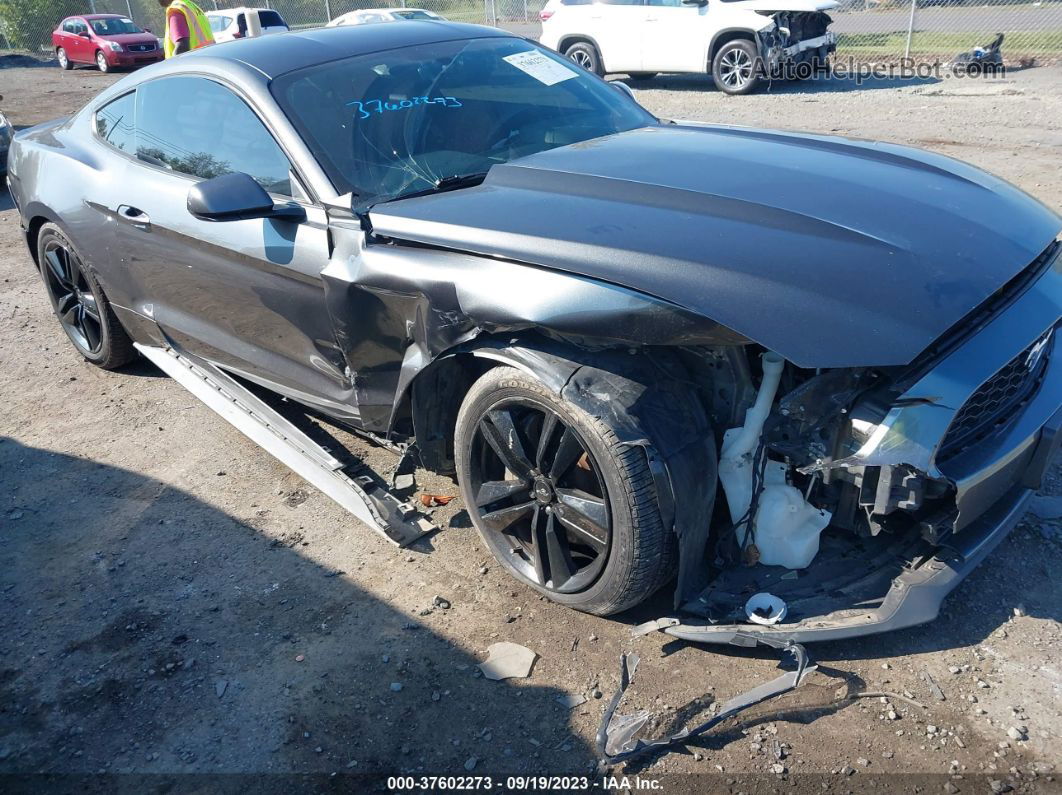 2016 Ford Mustang Ecoboost Gray vin: 1FA6P8TH4G5335917