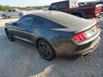 2020 Ford Mustang Gray vin: 1FA6P8TH4L5118135